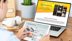 Types of Microlearning